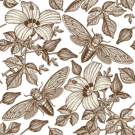 Hibiscus cicadas fly. Flowers mallow insects fauna Seamless textile. Drawing engraving isolated Freehand realistic. Beautiful background blooming flowers. Floral baroque Vintage Victorian illustrationのイラスト素材