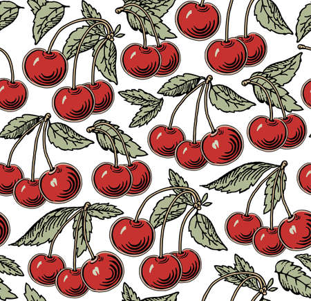 Cherry ripe on the tree isolated. Red cherry organic. Engraving, drawing. Freehand. Flora. Vintage...
