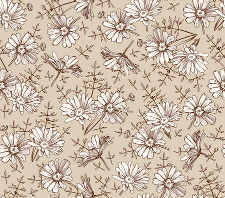 Seamless pattern. Chamomile Daisies wildflowers set. Beautiful blooming realistic isolated flowers. Vintage background fabric. Wallpaper baroque Drawing engraving sketch Vector victorian illustration.のイラスト素材