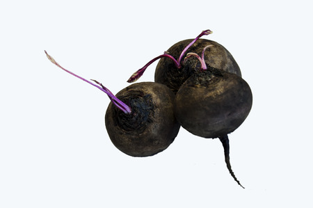 The plan, isolant, three sugar beet vegetable