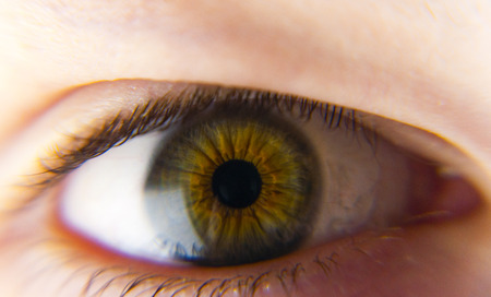 close up of an iris of a human eye, gray-green colorの写真素材