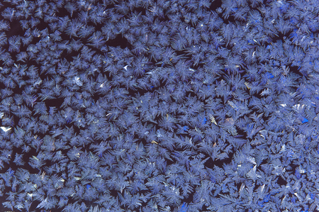 Close-up of the pattern on the frozen glass. The pattern is similar to fern leavesの写真素材