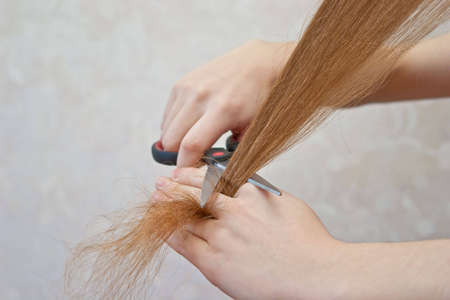 close-up of cutting lock of hair with scissorsの写真素材