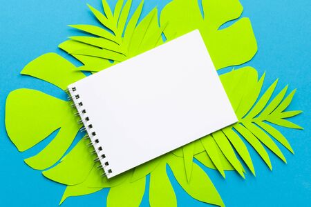 Concept hello summer. Notepad on palm tree leaves. Paper art. Top view background. Flat lay. copyspace. Empty.の写真素材