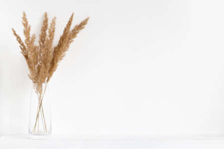 Dried flowers in transparent vase on white background. Template. Empty frame.の写真素材