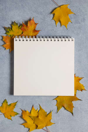 White notebook with yellow maple leaves for writing copy space over concret background. Autumn wish...