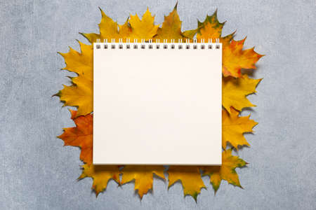 White notebook with yellow maple leaves for writing copy space over concret background. Autumn wish...
