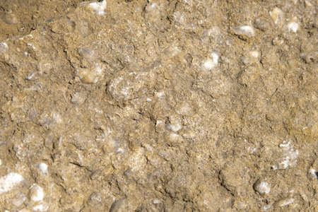 Beige stone texture natural background.