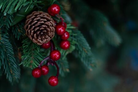 New year holiday evergreen tree, Christmas tree branches decorated with viburnum berries and cones.の写真素材
