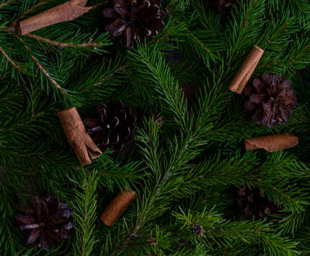 Background of Christmas tree branches, with small cones and cinnamon sticks. Flat lay. The concept...