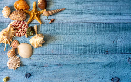 Seashells in the form of numbers 2022 on a background of boards. Summer vacation for the new year.の写真素材