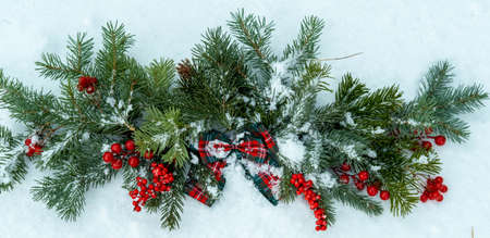 Christmas snow-covered branches with decorations in the snow, The background of the New Year.の写真素材