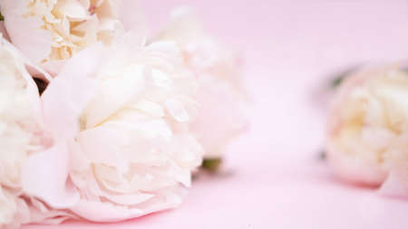 Beautiful garden peony flowers bouquet on pink background. Top view flat lay with space for your holiday greetingsの写真素材