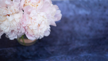 Peony flowers are pale pink, on a blue background, top view. Flower arrangement. Layout with plants. A flat plate with flowers on a blue table. The concept of Womens Day.の写真素材