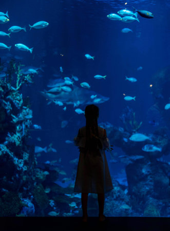 the girl is standing with her back turned, in a summer dress and looks at a large aquarium with fish in the aquarium.の写真素材