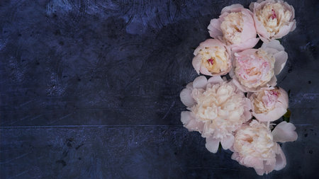 Peony flowers are pale pink, on a blue background, top view. Flower arrangement. Layout with plants. A flat plate with flowers on a blue table. The concept of Womens Day.の写真素材
