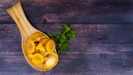 Chanterelle mushroom in wooden kuksa cup. Harvesting edible mushrooms in forest.の写真素材