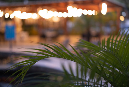 A lot of decorative vintage garland light bulbs in front of a pub restaurant terrace, blurred focus, romantic setting on a tropical beach.の写真素材