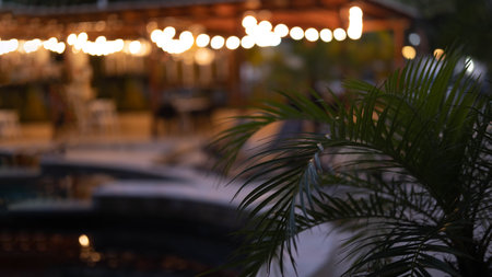 A lot of decorative vintage garland light bulbs in front of a pub restaurant terrace, blurred focus, romantic setting on a tropical beach.の写真素材