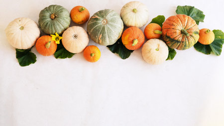 Autumn composition. Colorful pumpkins from the garden, on a white background. Autumn, autumn Halloween concept. Flat plane, top view, place to copyの写真素材