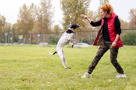 Woman with red hair engages with her jumping dog in a grassy park, highlighting the bond between them in a vibrant outdoor environmentの写真素材