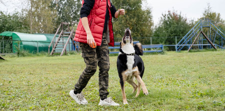 Female dog owner engages with her pet in a grassy area, demonstrating playful training and companionship, with outdoor play structures in the backgroundの写真素材