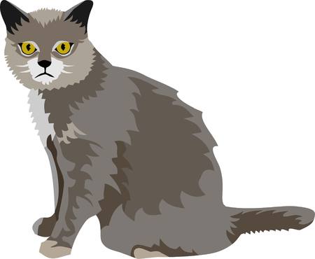 Cat Vector Illustrationのイラスト素材