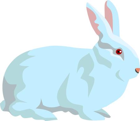 Rabbit Vector Illustrationのイラスト素材
