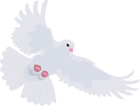 Flying White Dove Bird Animal Vector Illustrationのイラスト素材