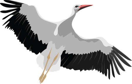 Flying Crane Bird Vector Illustrationのイラスト素材