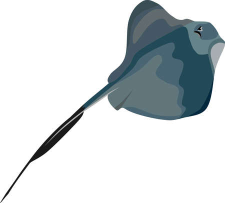 Stingray Fish Animal Vector Illustrationのイラスト素材