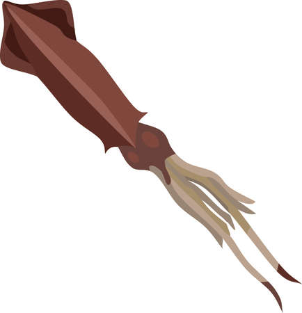 Squid Ocean Animal Vector Illustrationのイラスト素材