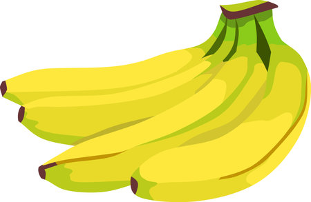 Banana Fruit Plant Vectorのイラスト素材