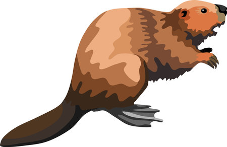 Brown Beaver Mammal Animal Vectorのイラスト素材