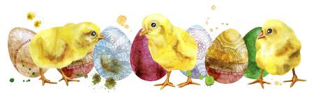 Watercolor Easter colored eggs and chickens on white background. Design element for greeting cards,...