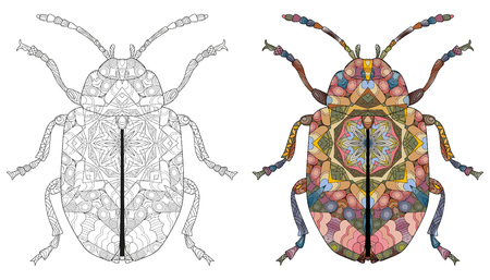 insect styled for T-shirt design, tattoo and other decorations. Bug for coloring and painted specimen Vector illustration.のイラスト素材