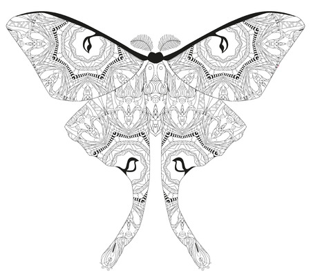 Butterfly styled with clean lines for coloring book for anti stress, t-shirt design, tattoo and other decorations.のイラスト素材