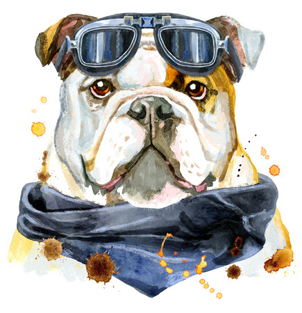 Watercolor portrait of bulldogの写真素材