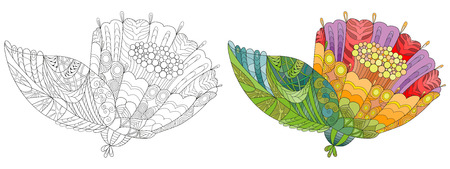 Zentangle stylized flower. Hand Drawn lace vector illustrationのイラスト素材