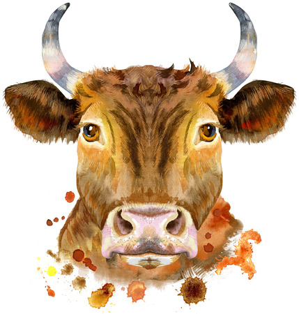 Bull watercolor graphics. Bull animal illustration with splash watercolor textured background.の写真素材