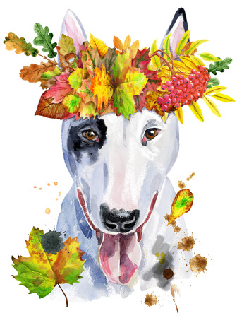 Watercolor portrait of bull terrier with wreath of autumn leavesの写真素材
