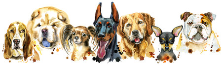 Cute border from watercolor portraits of dogs. For t-shirt graphics. Watercolor dogs illustrationの写真素材
