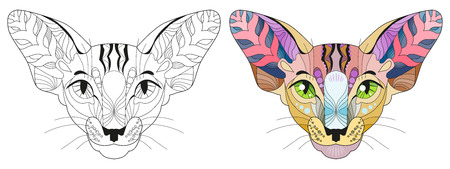 Zentangle stylized head of cat. Hand Drawn lace vector illustration. Color and outline set.のイラスト素材