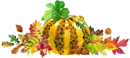 Fall leaves with striped pumpkin on white background, fall harvestの写真素材