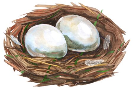 Nest with eggs. Painted with watercolors on white background. Spring decoration. Decorating for Easter.の写真素材