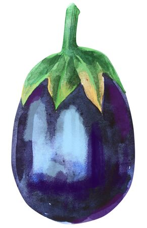 Watercolor illustration of eggplant on white backgroundの写真素材
