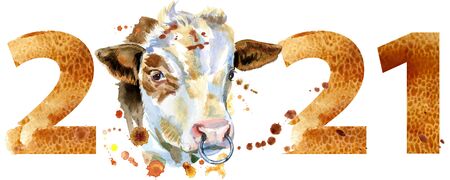 New year 2021 watercolor number with a bull head isolated on the white backgroundの写真素材