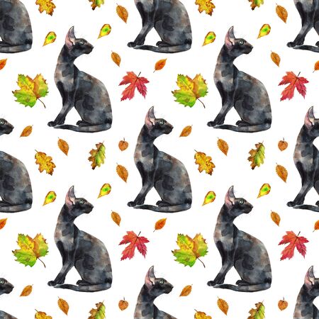 Seamless pattern of watercolor oriental cats. Hand drawn black short hair pets on white background.の写真素材