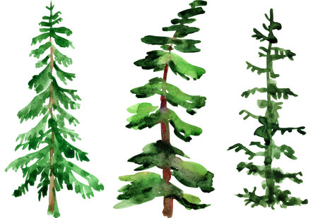 Set of watercolor christmas trees isolated on white backgroundの写真素材