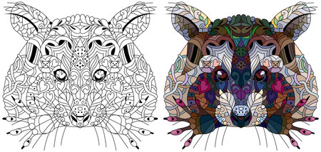stylized color raccoon. Hand Drawn patterned vector illustration isolated on white background. Sketch for adult coloring page, posters, tattoo. Color and outline setのイラスト素材